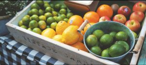 Fruits and Vegetables