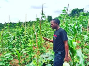 Coffee Growing, Processing and Packaging